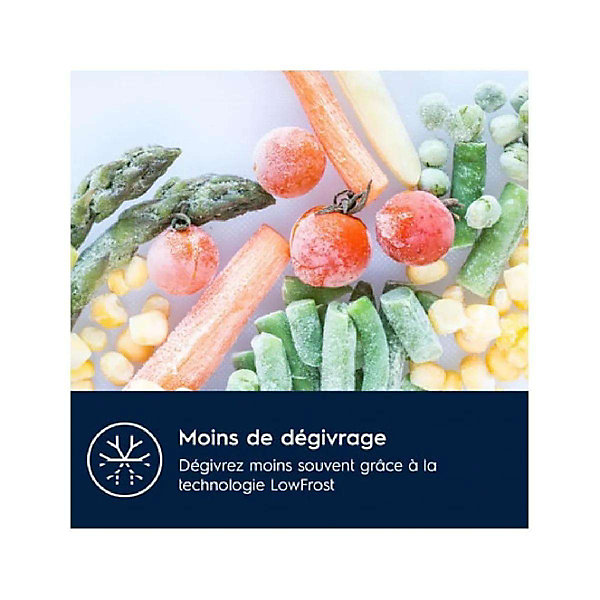 ELECTROLUX - LUB3AE88S - Congélateur Encastrable - 98 L - Classe A
