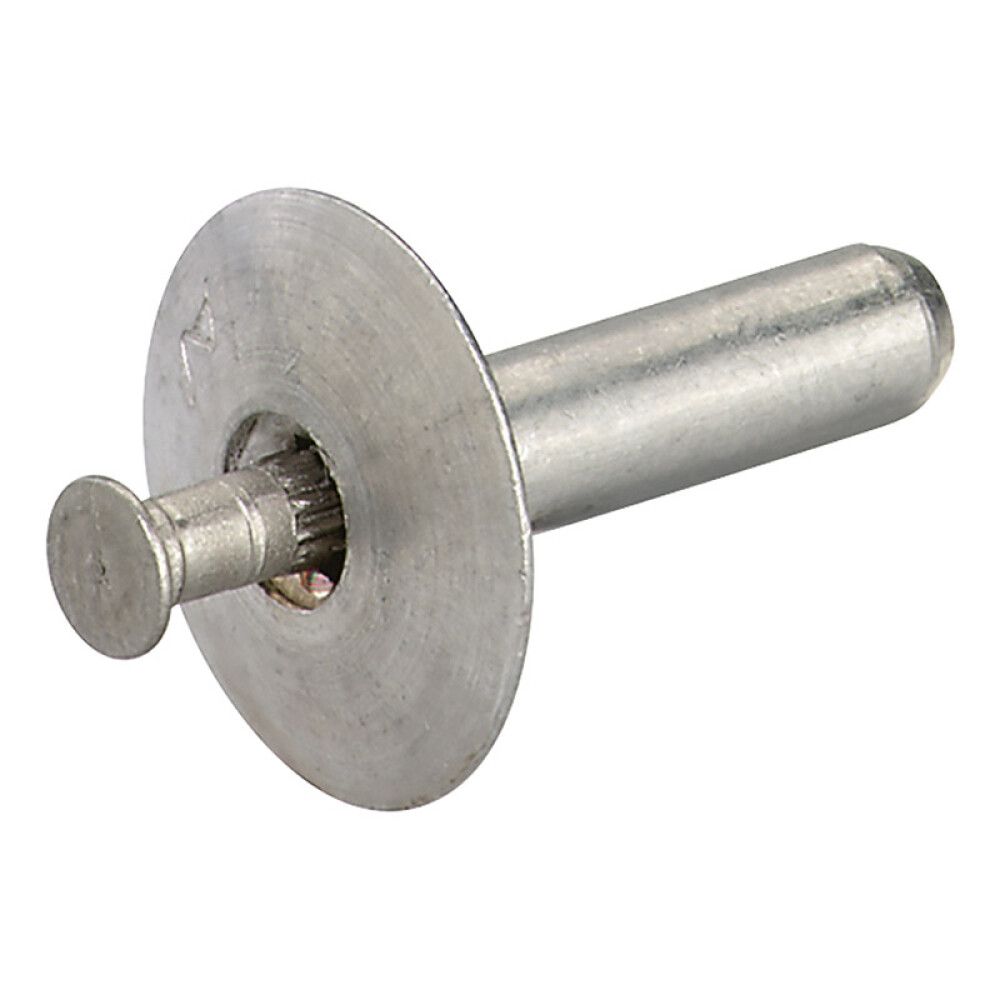SPIKERPLUGG FISCHER 4,8X50MM 100STK