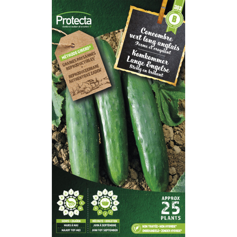 Semences de concombre Marketer Bio PROTECTA