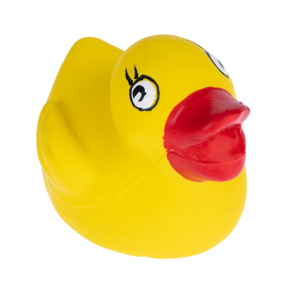 zooplus Basics Duck Latex Dog Toy