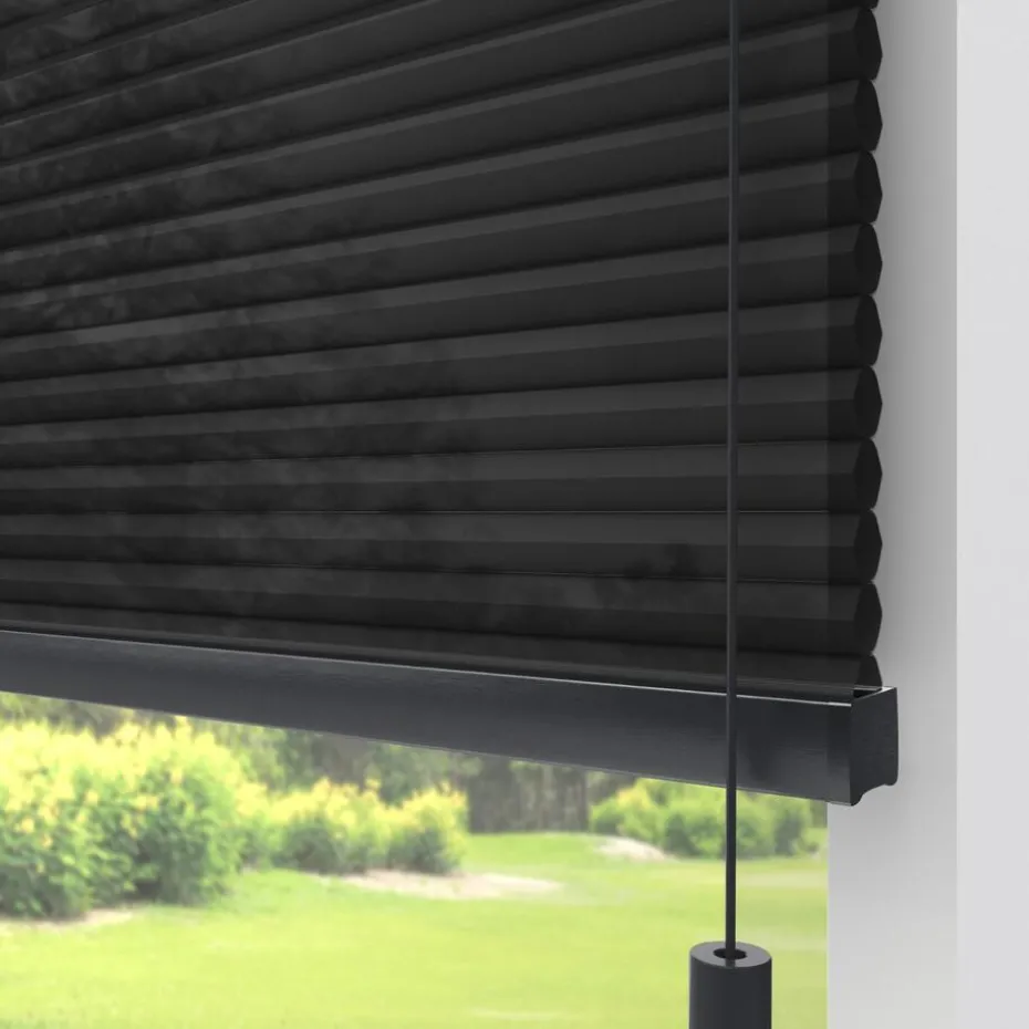 Kwantum Plisségordijnen | Fenstr Dubbel Plissé Dewi  Lichtdoorlatend Zwart