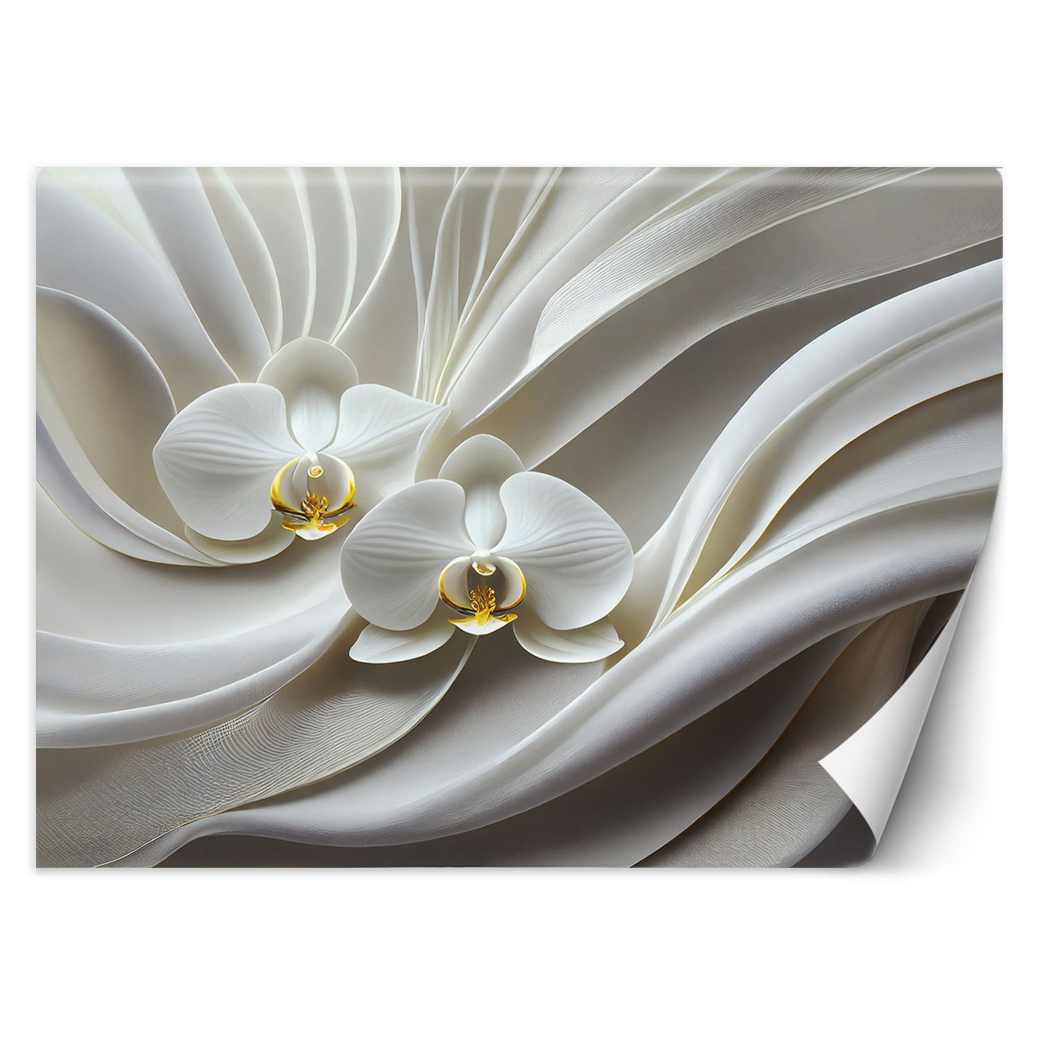 Feeby Fototapeta, Biała orchidea abstrakcja 3D 150x105