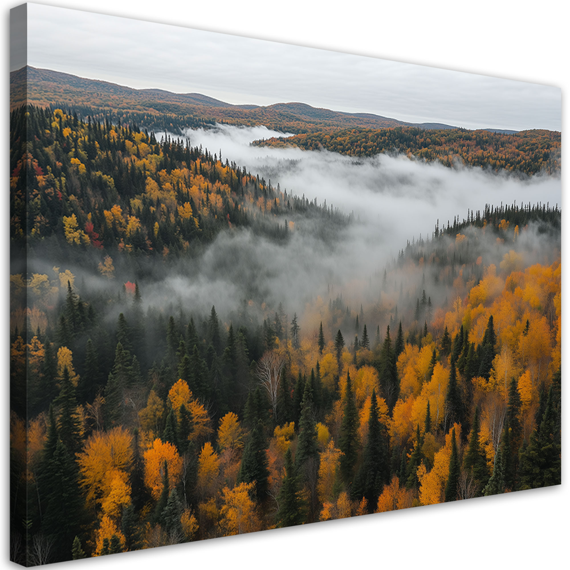 Feeby Obraz do salonu sypialni, Las we mgle natura pejzaż 60x40