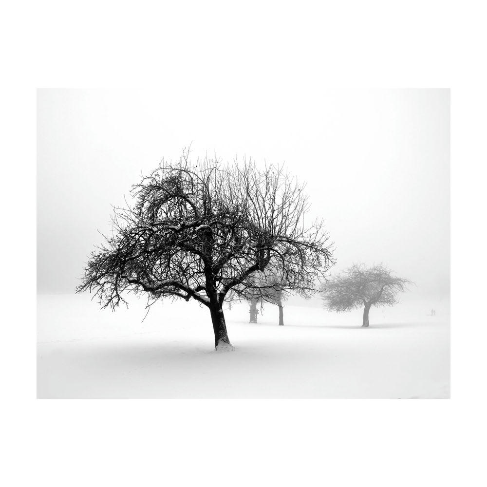 - Papier peint panoramique arbres hiver 300x231 cm