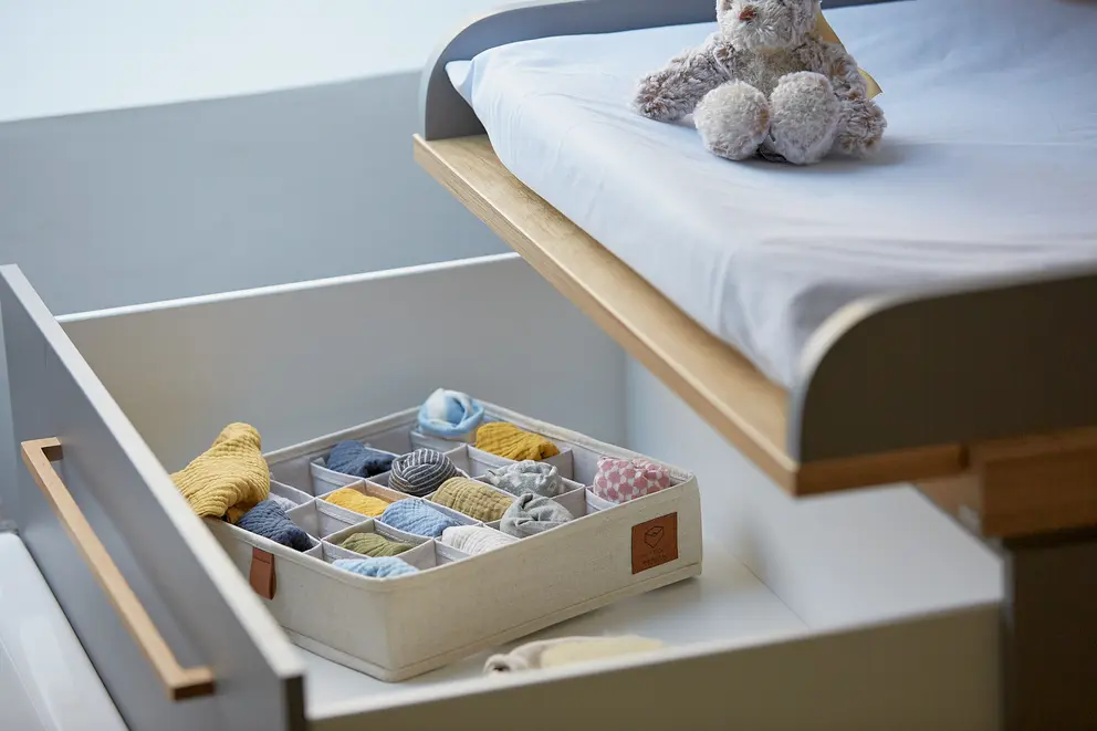 Organizer Premium-201