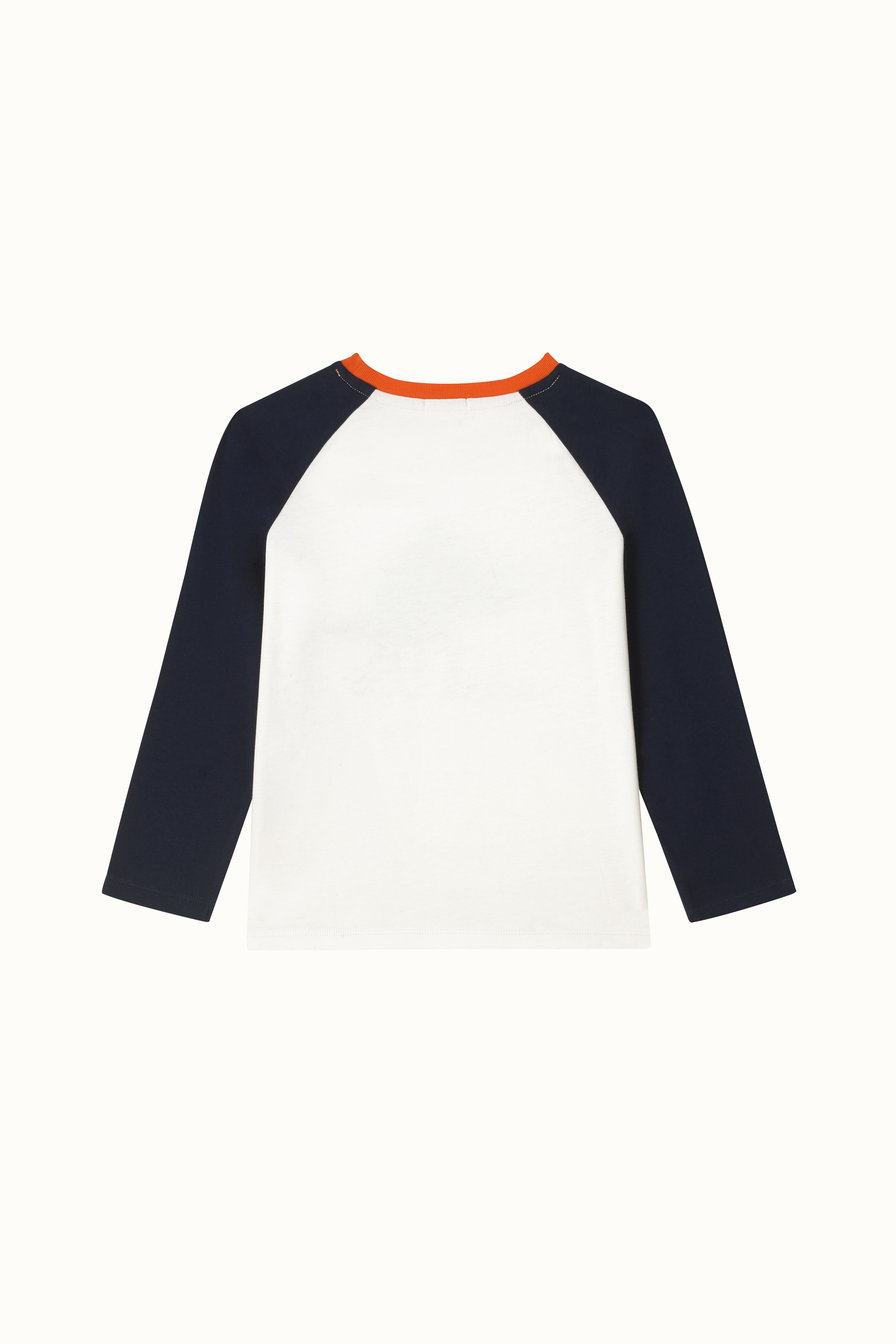 Dinosaur Roar Long Sleeve Raglan T-shirt (1-10 Years)