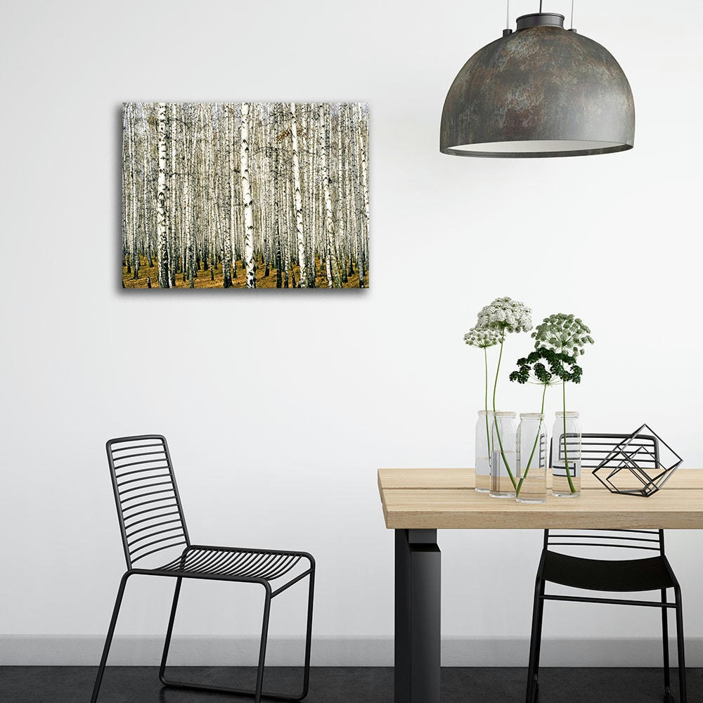 - Tableau impression sur toile Dense forêt de bouleaux 80x100cm