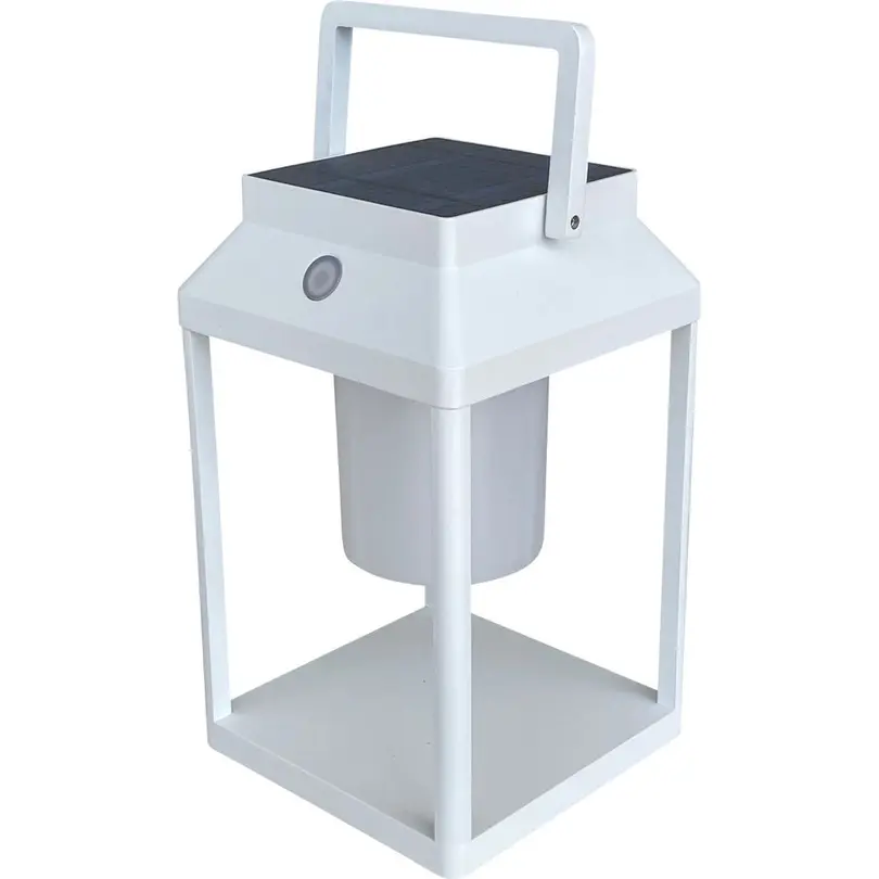Outdoorleuchte Dualtec 25
