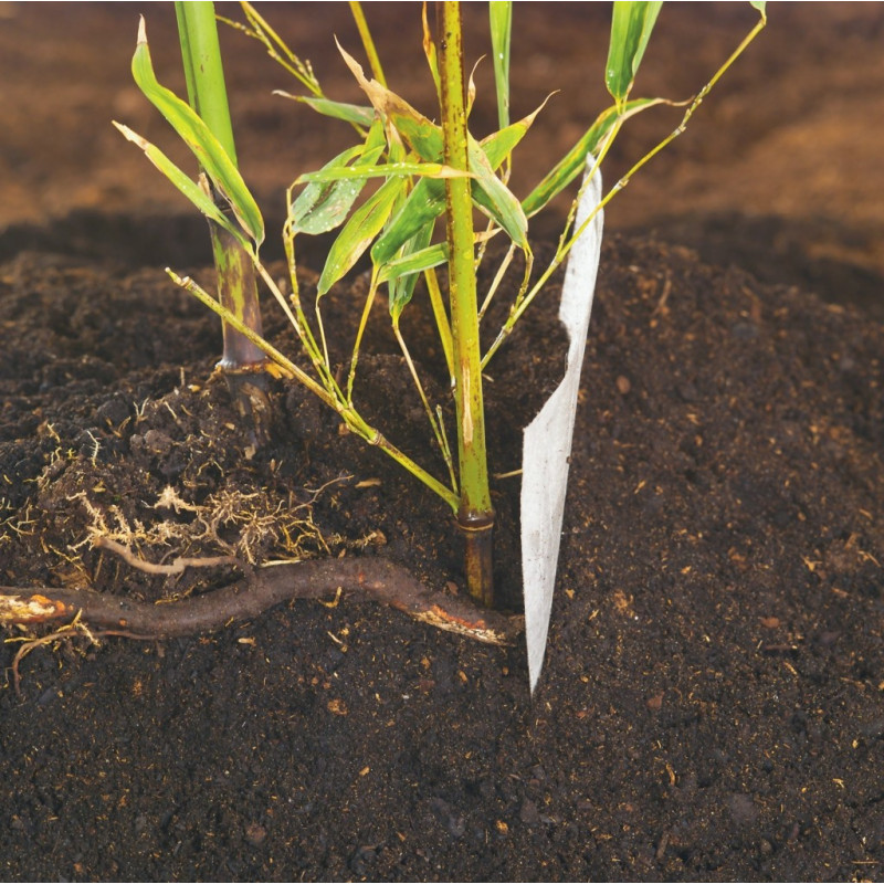 Feutre renforcé pour plantation et contrôle des bambous 0,75 x 3 m NORTENE