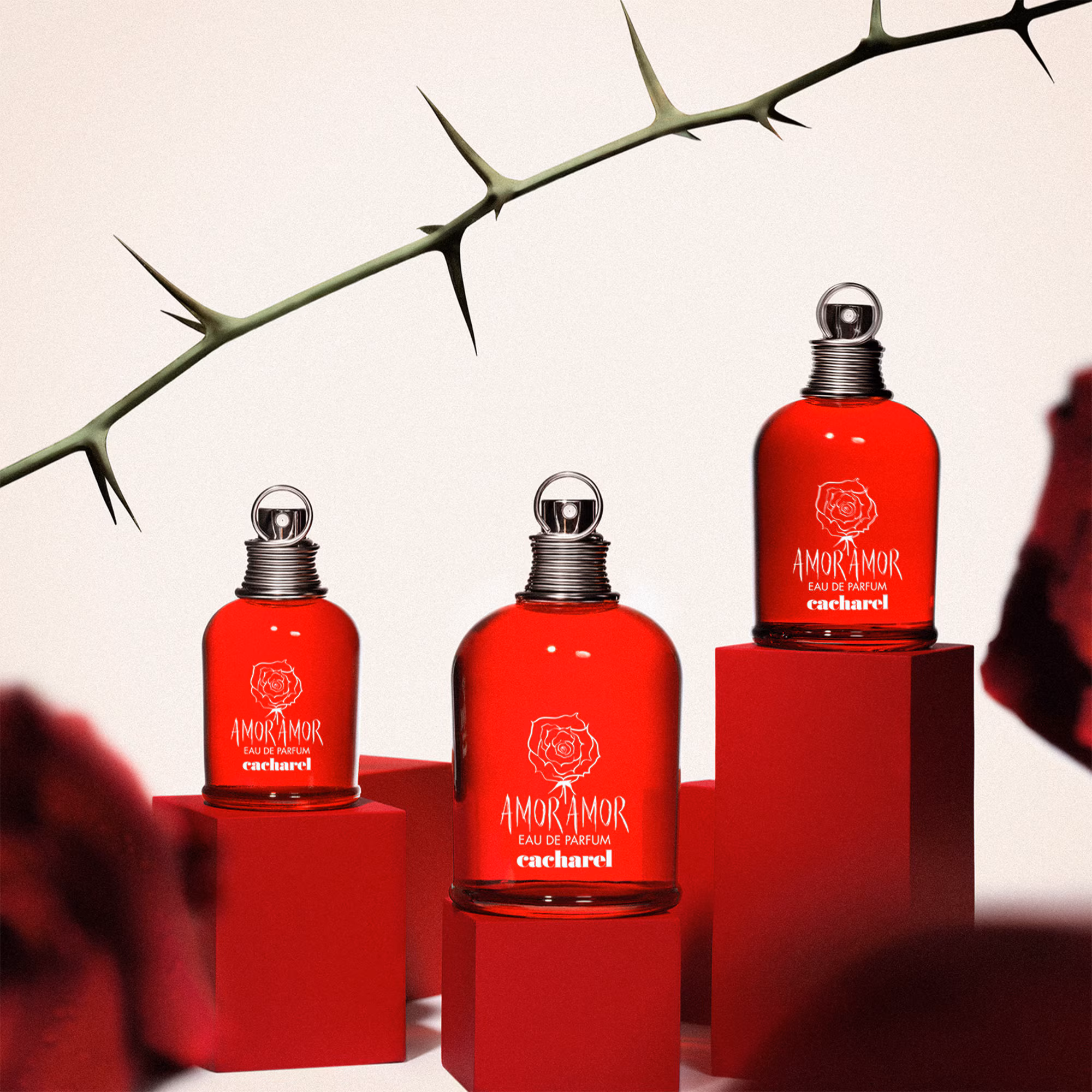 AMOR AMOREau de parfum