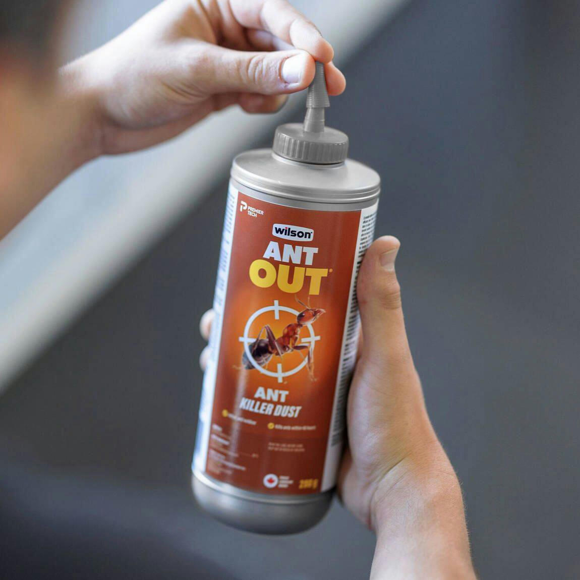 Wilson AntOut Indoor/Outdoor Ant Killer Powder/Dust, 200-g