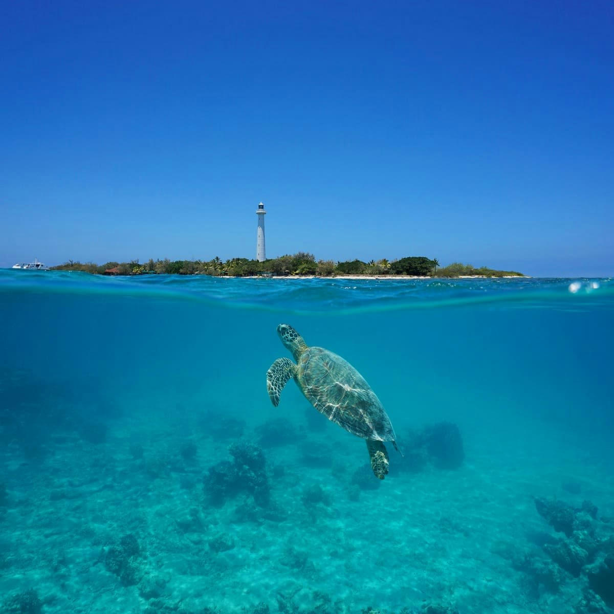 MER - Tableau sur verre synthétique phare d
