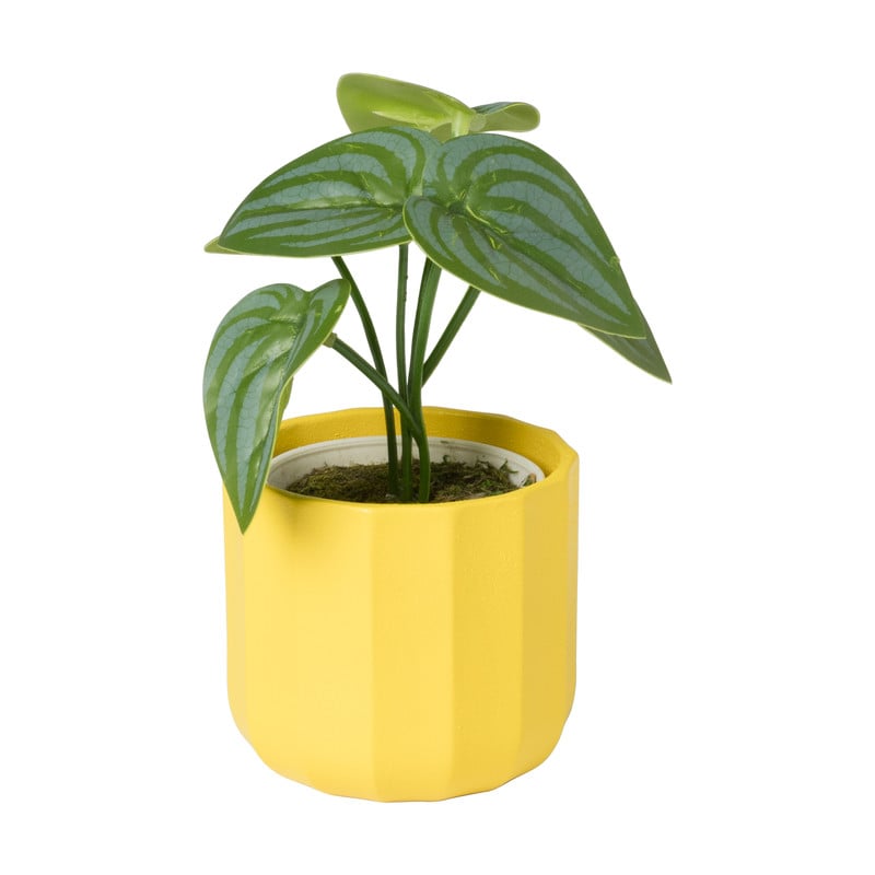 Bloempotje streep - geel - &Oslash;7x6.5 cm