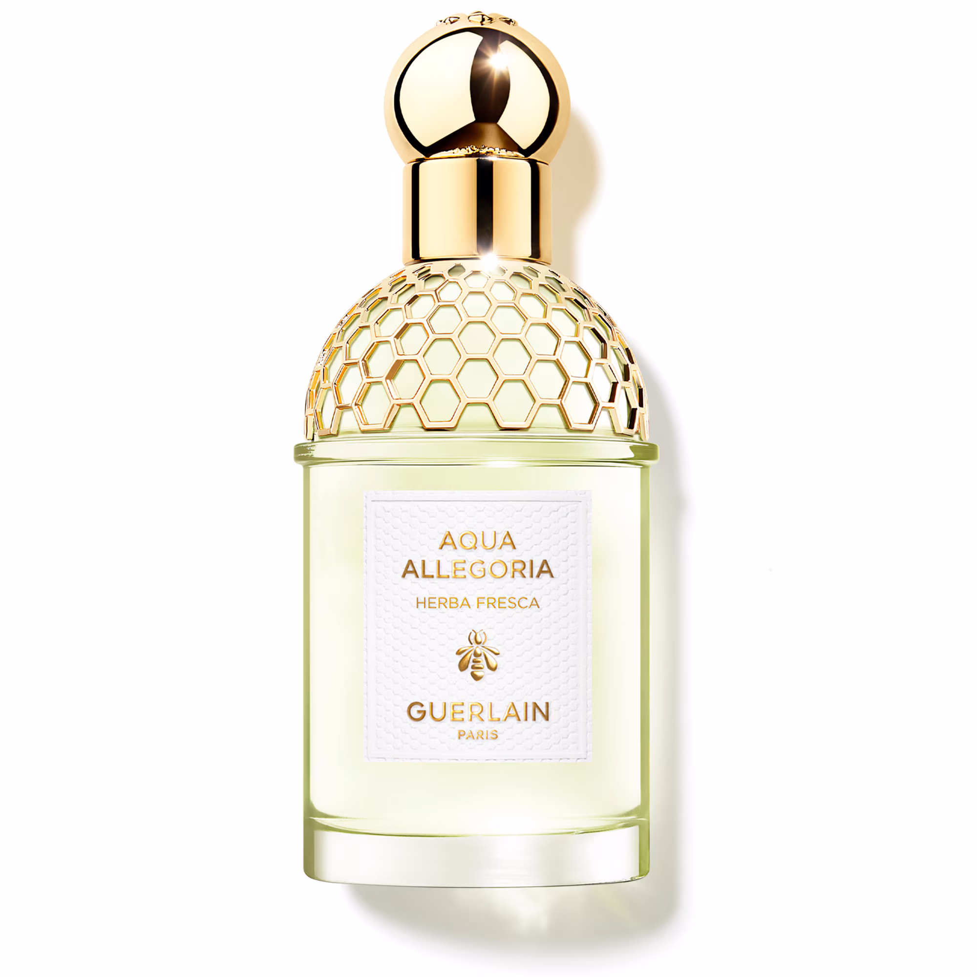 AQUA ALLEGORIAHerba fresca - eau de toilette