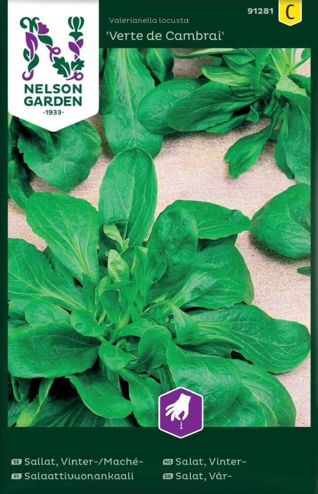 GRØNNSAKSFRØ NELSON GARDEN VINTERSALAT VERTE DE CAMBRAI