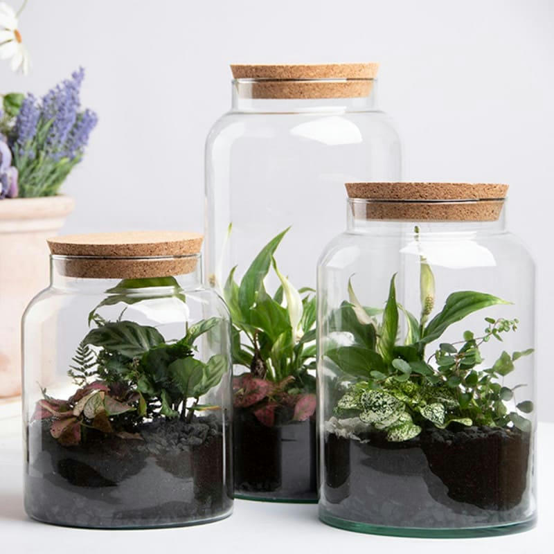 - Pot pour terrarium 26 cm