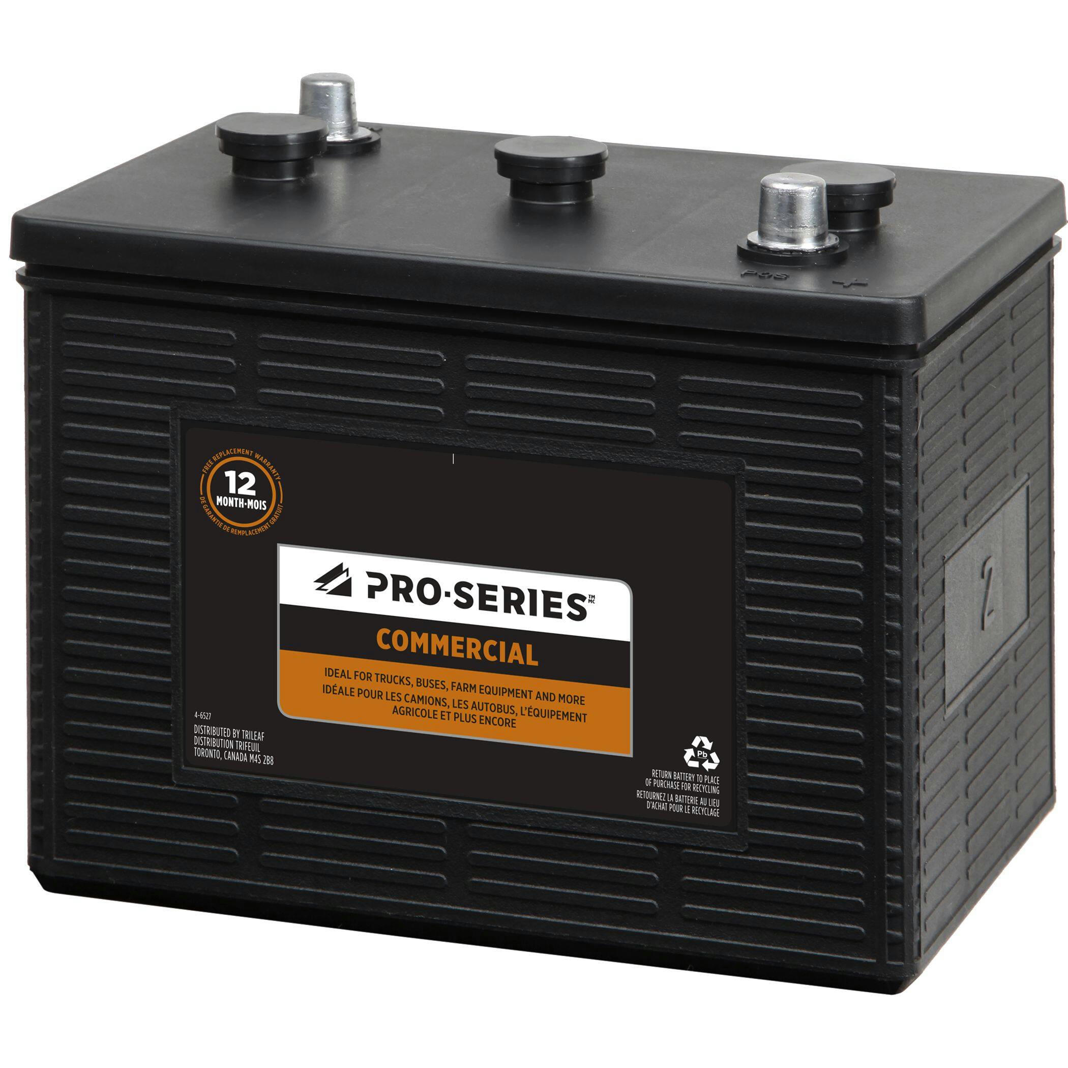 PRO-SERIES Commercial Group Size 2 6-Volt Battery