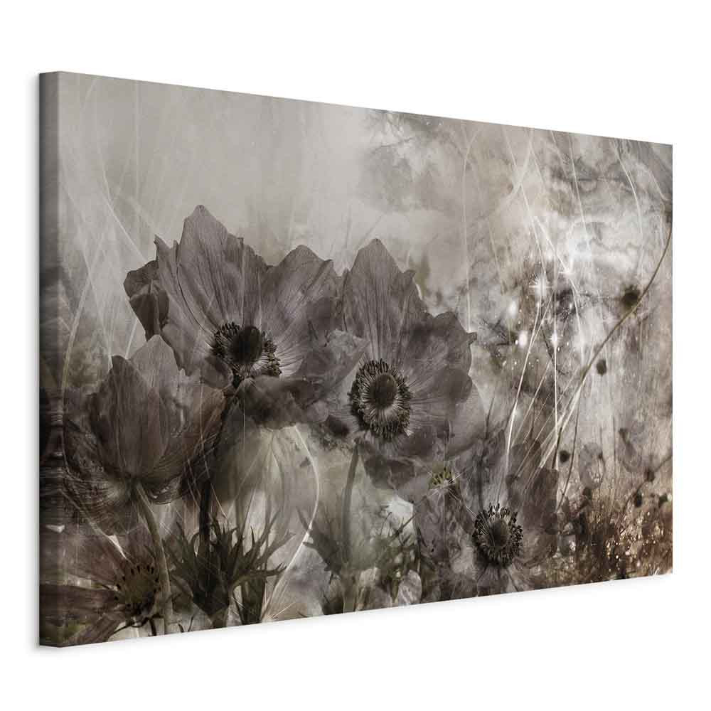 Obraz Anemony w sepii 60 x 40 cm