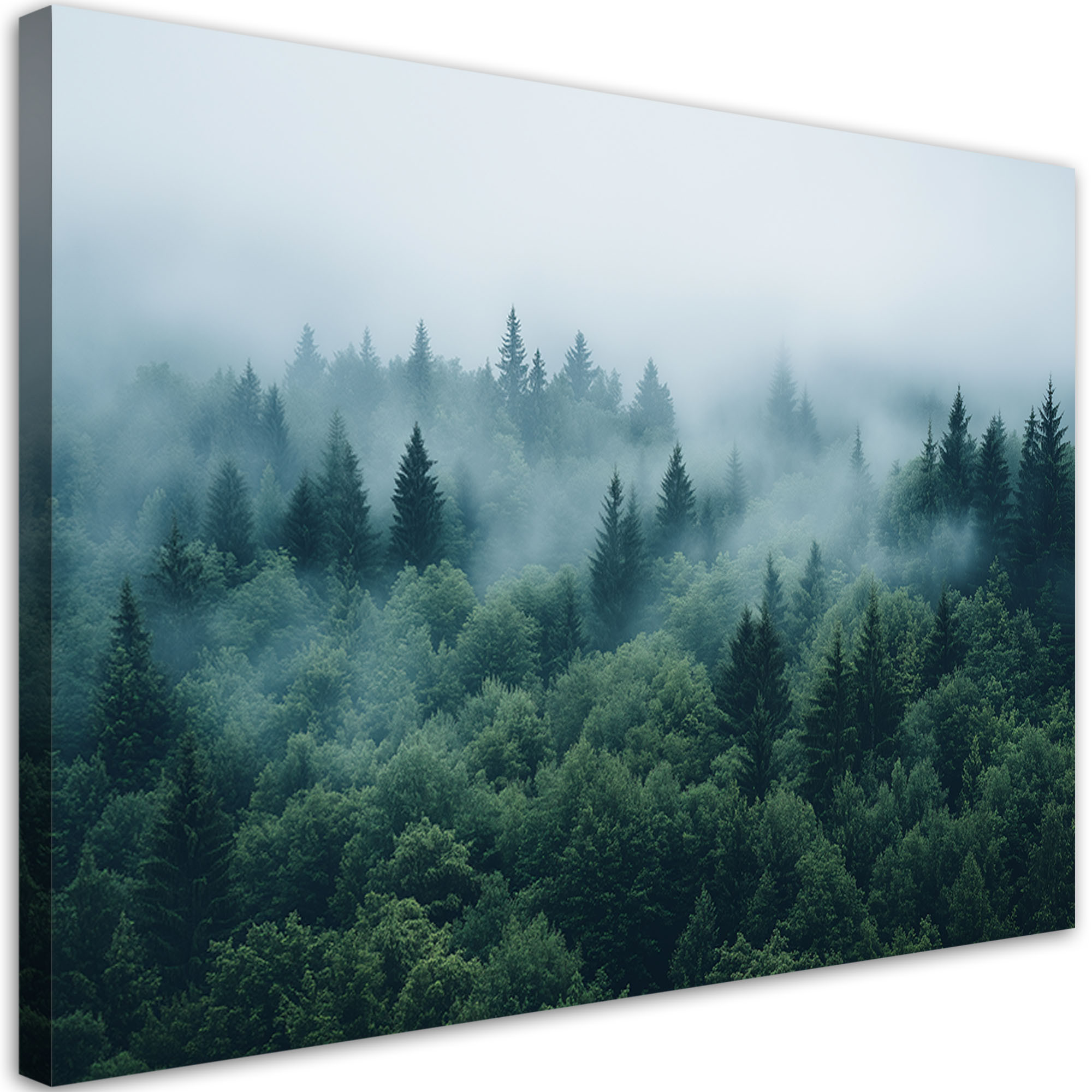 Feeby Obraz do salonu sypialni, Zielony las we mgle natura krajobraz 60x40