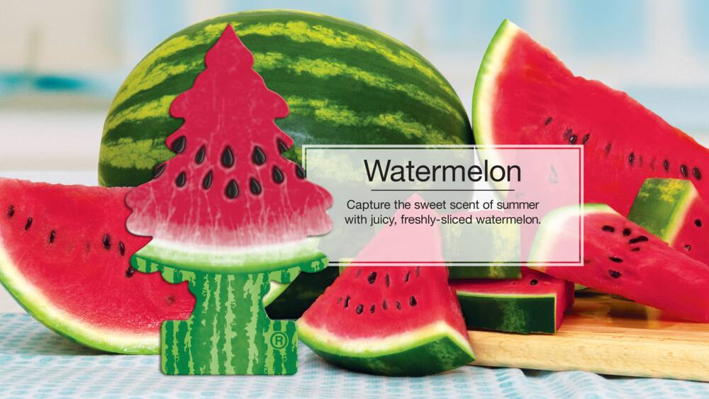 Little Trees Hanging Air Freshener, Watermelon, 3-pk