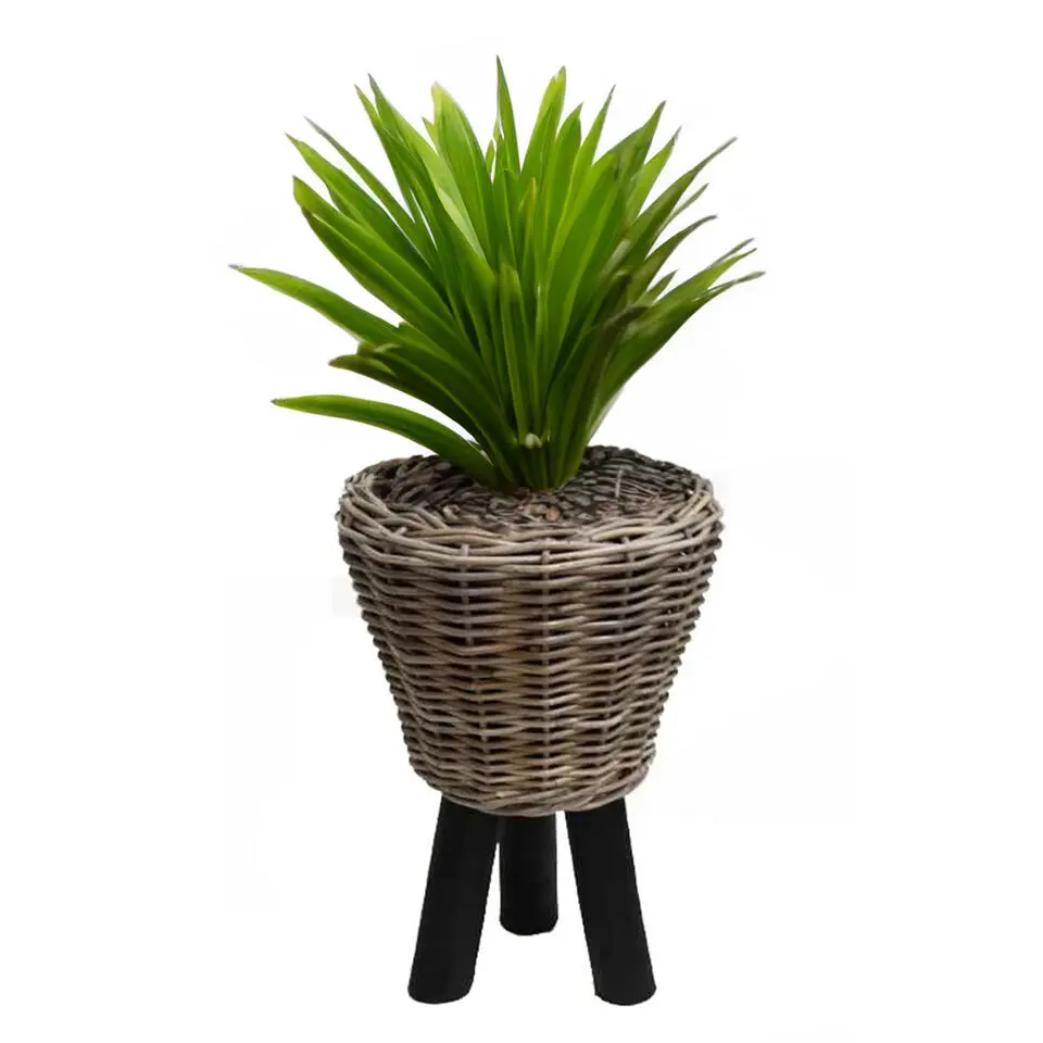 Van der Leeden Planten/bloemen mand op pootjes -rotan -D33xH45 cm