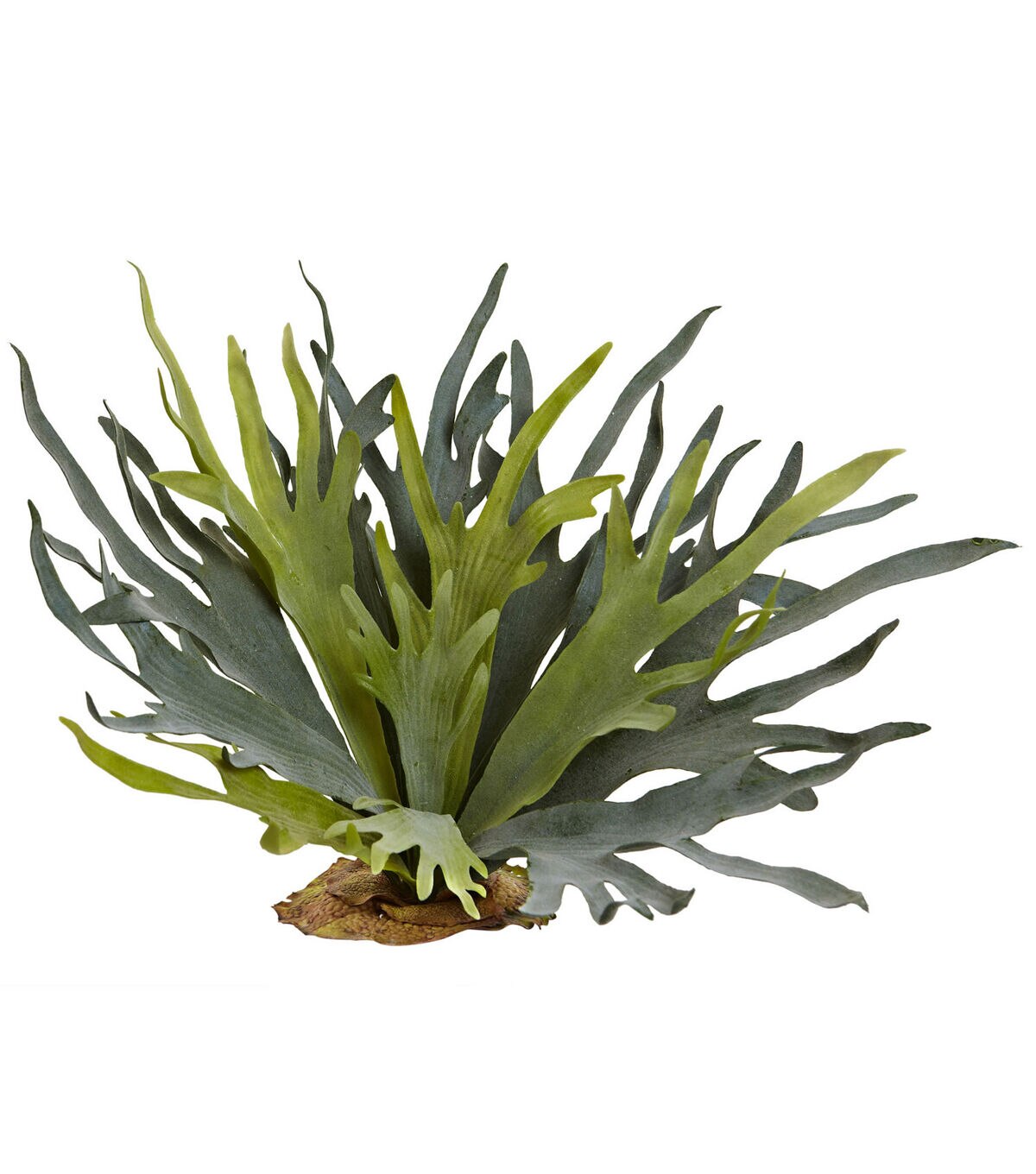 Nearly Natural 21 Staghorn Fern 2ct
