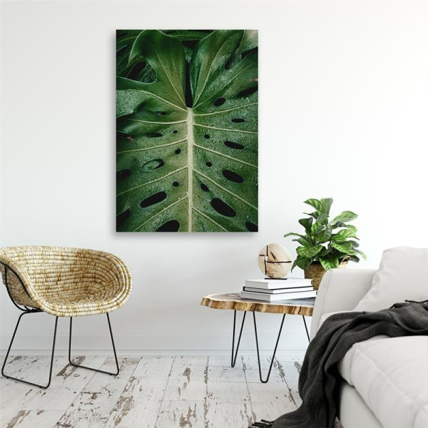Feeby Obraz na płótnie Tropikalna monstera 40x60