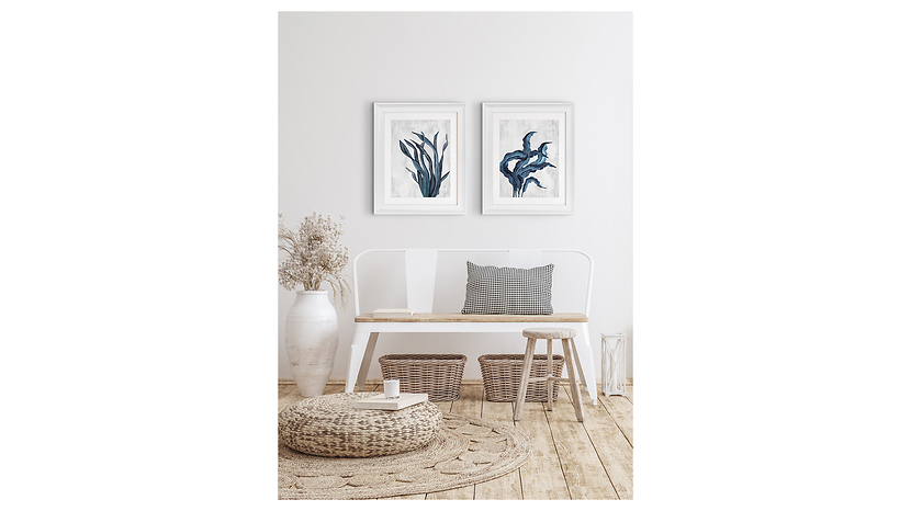 Obraz w ramie Sea Plant No. 1 46x56 cm