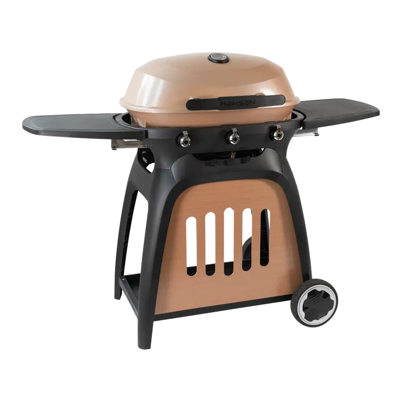 Gasgrill Ryde 3
