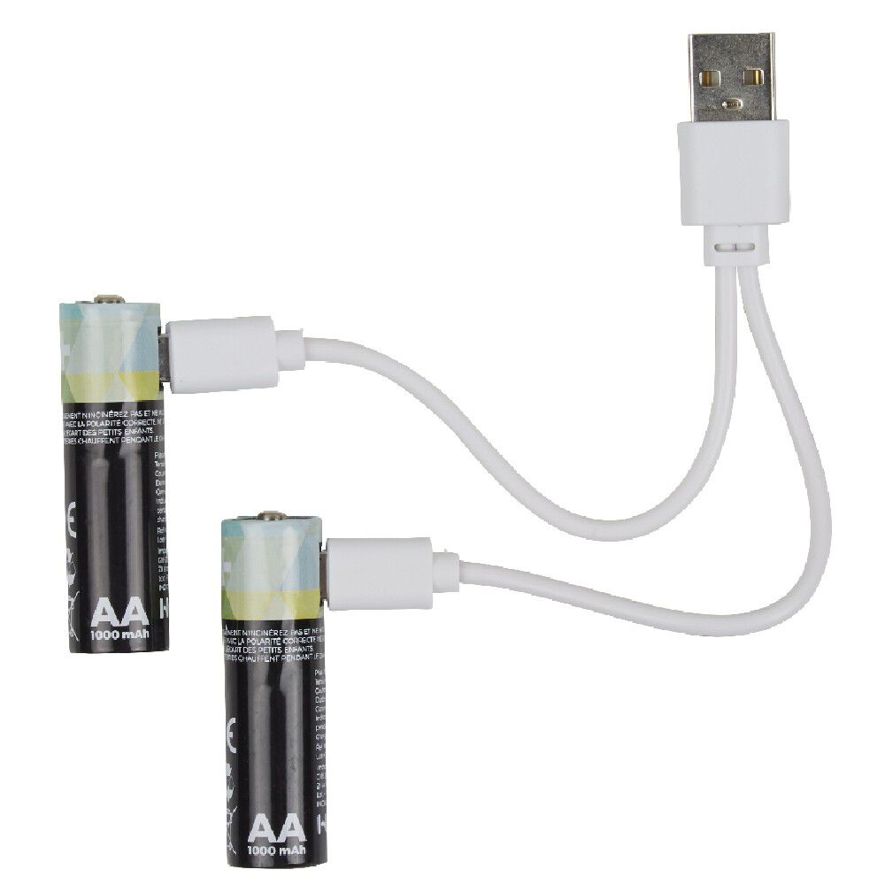 Pile rechargeable USB x4