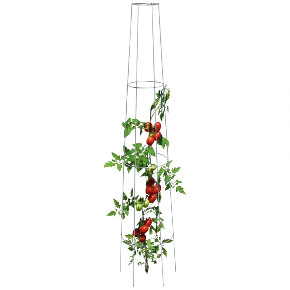 Tomatenrankgitter, Stahl