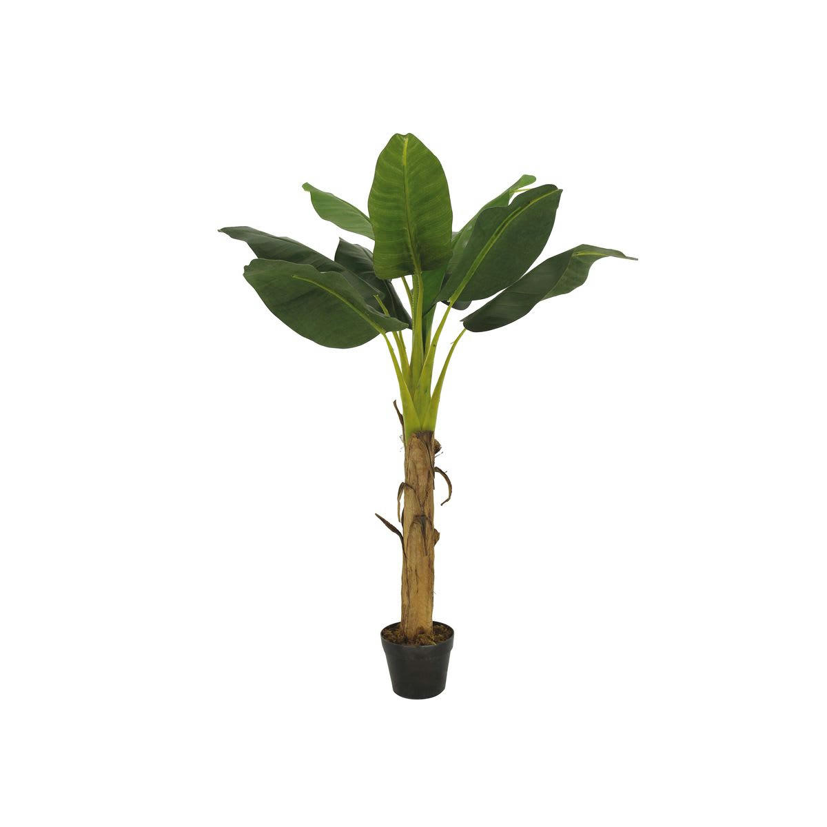 ESPRIT VEGETAL - Bananier artificiel esprit végétal petit modèle 128cm