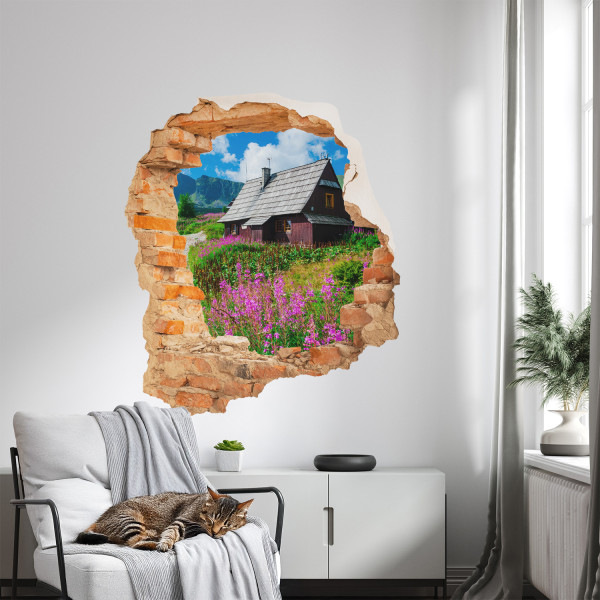 Naklejka wyrwa w ścianie rustykalny widok dziura 3D 68x80