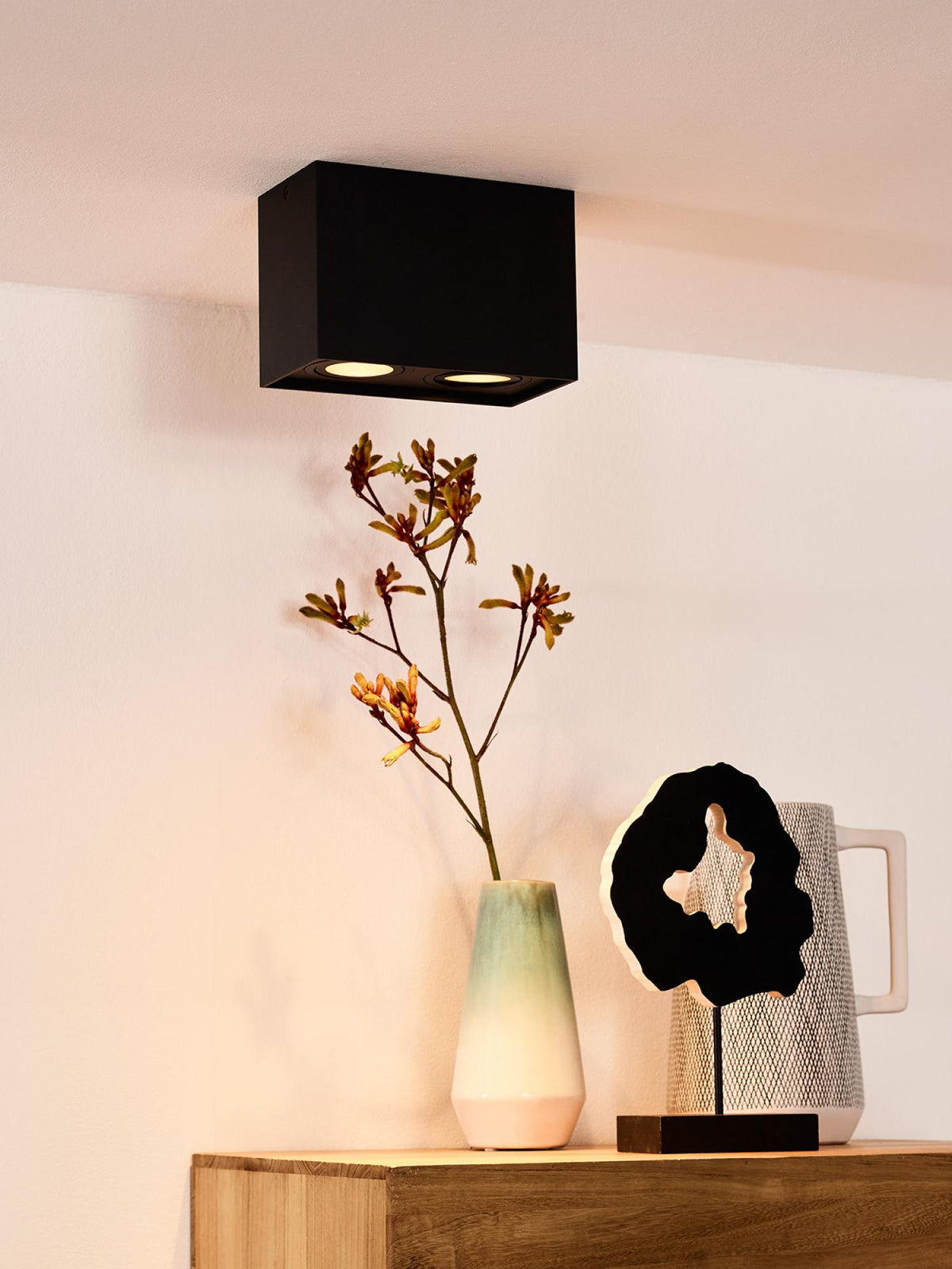 Lucide plafondspot TUBE - 2xGU10 - Zwart