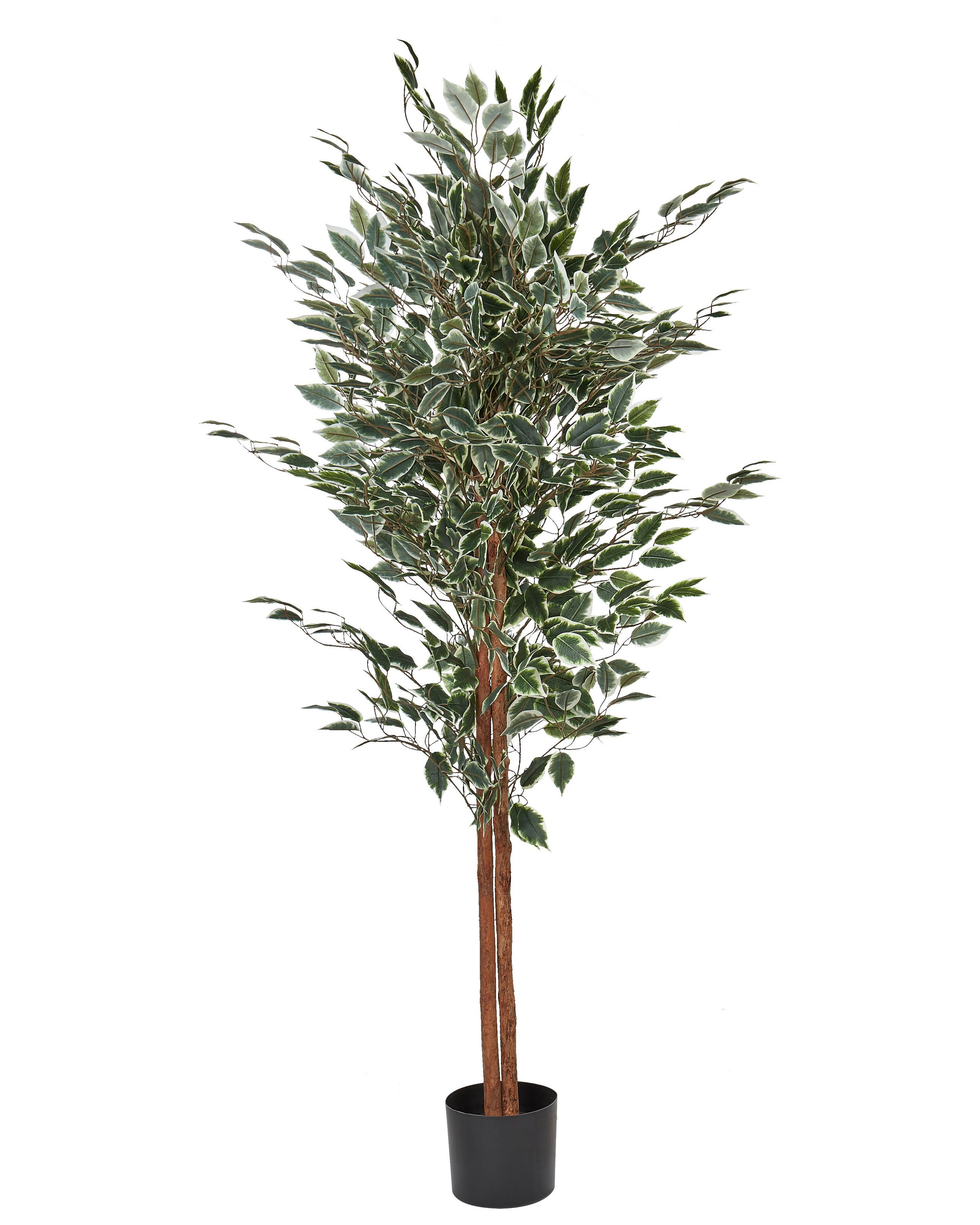 Sztuczna roślina fikus 167 cm plastik