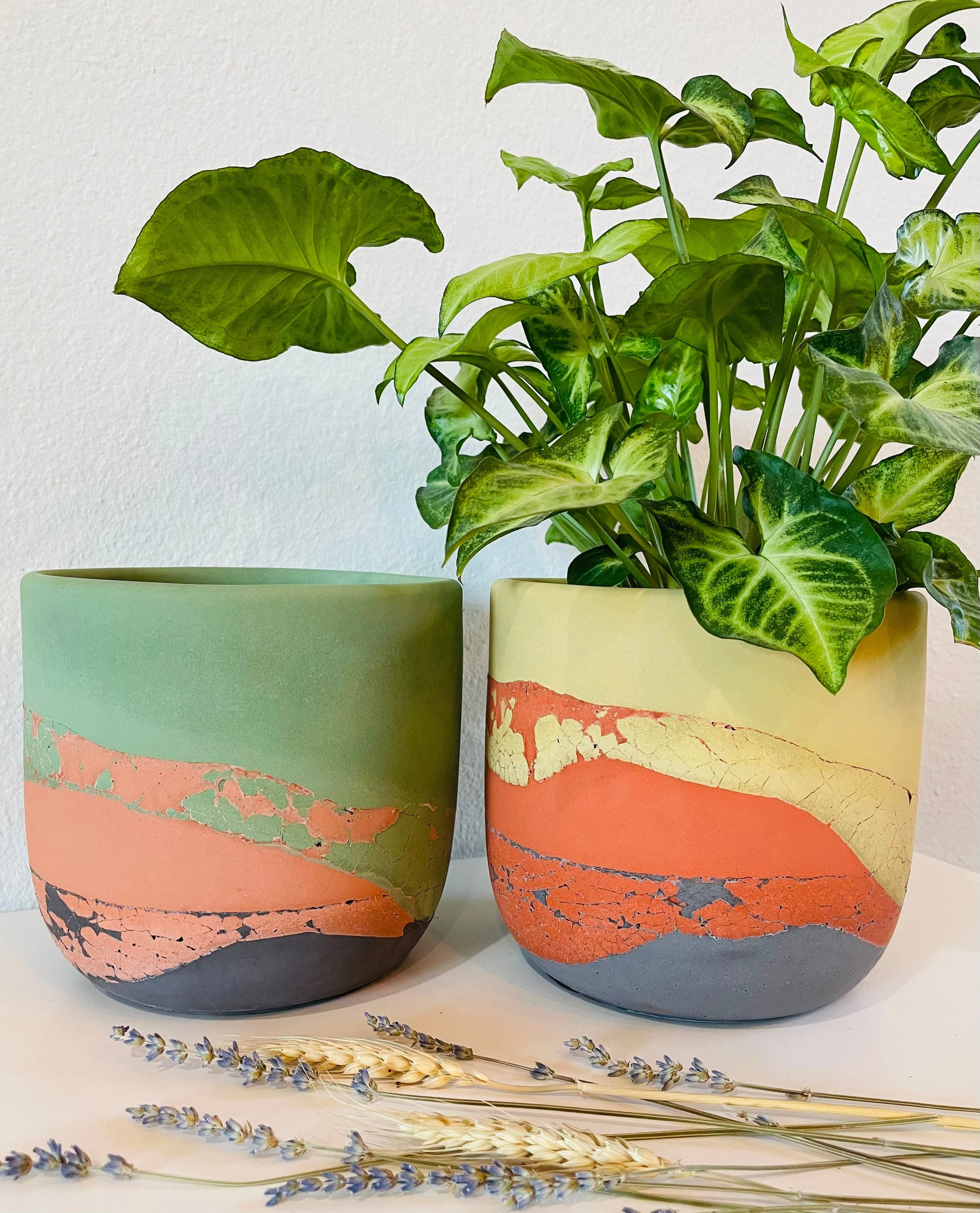 Volcano Planter | Green or Mustard, Terracotta & Charcoal Layered Concrete Planter | Pot | Minimalist Planter | Indoor Planter