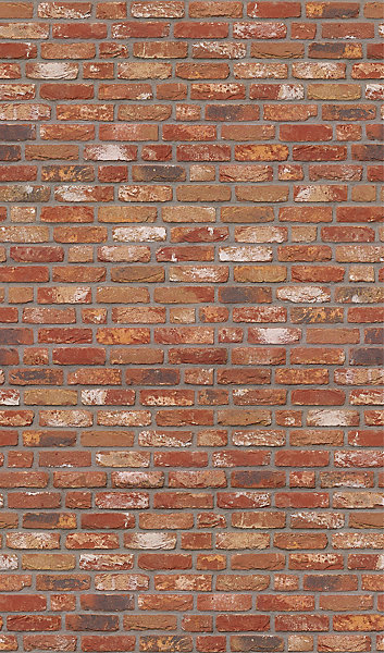 Panneau mural de salle de bains l.150x255 cm, décor briques-industriel, Schulte DécoDesign