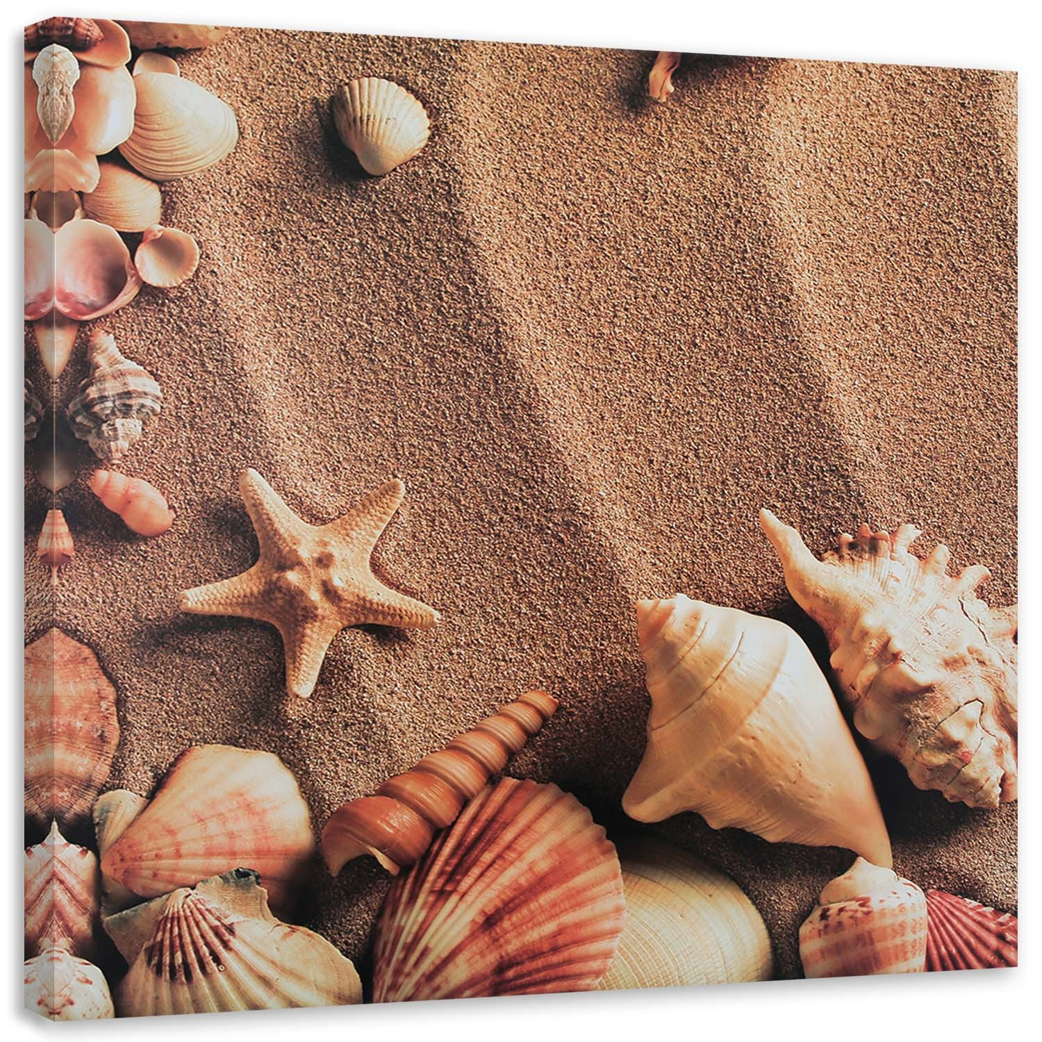 Feeby Obraz Muszelki na suchym piasku 30x30