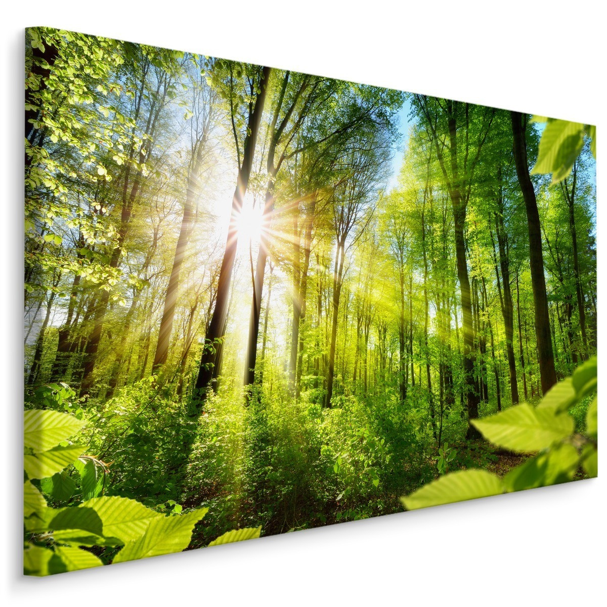 Obraz do Sypialni Wschód Słońca w Lesie 3D 30x20cm