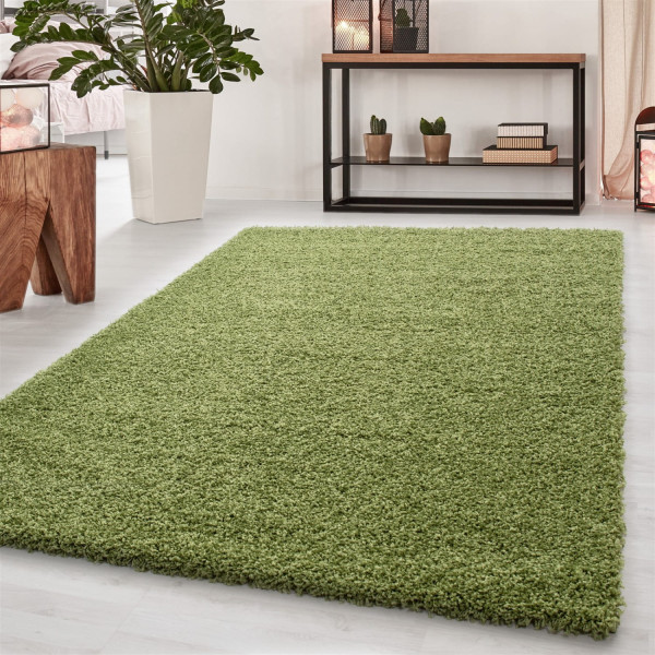Dywan shaggy Dream zielony 120 cm x 170 cm