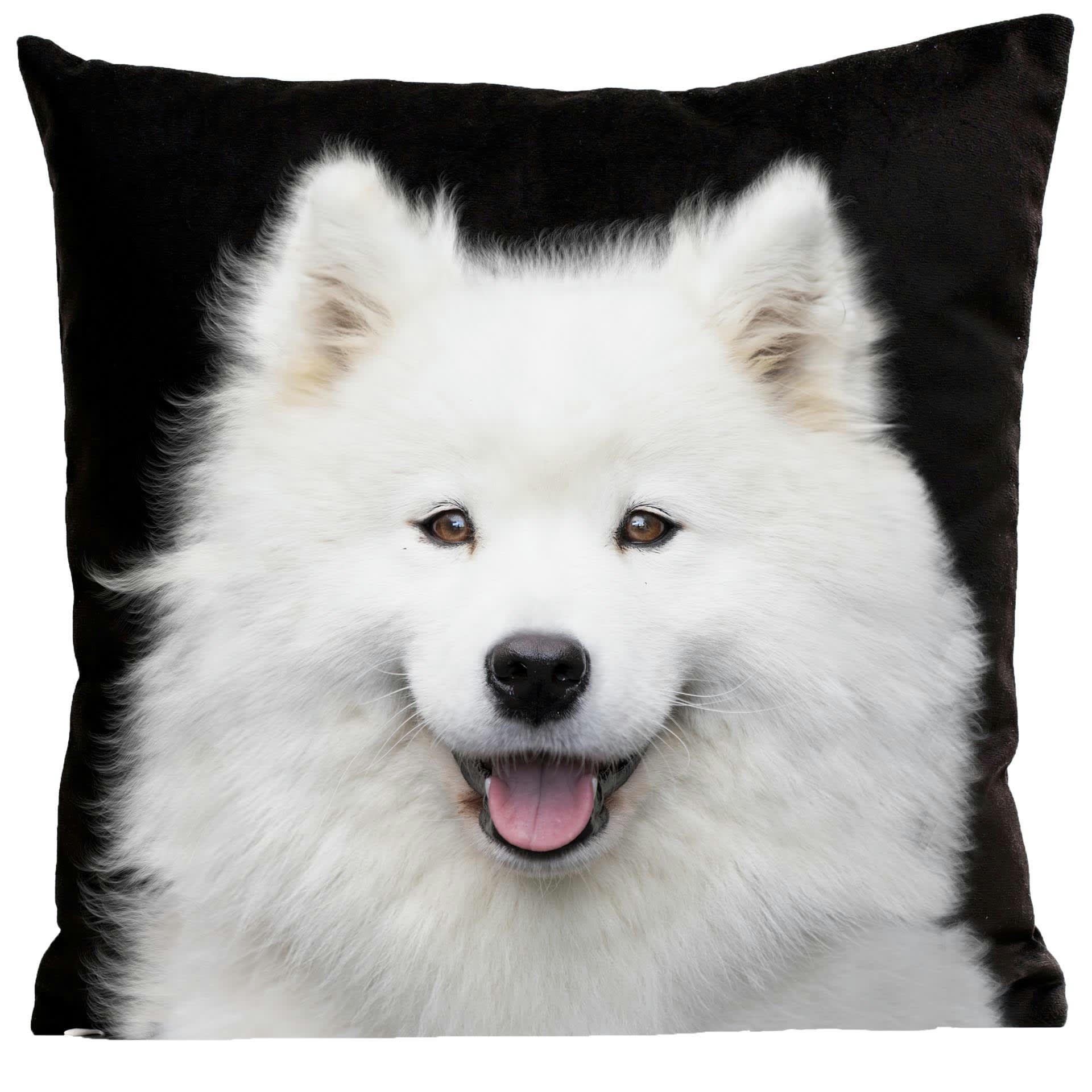 - Coussin chien samoyede suédine noir 40x40cm