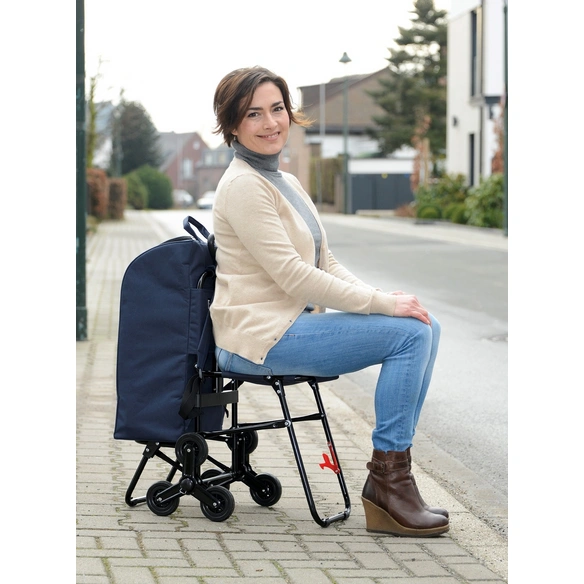 Einkaufstrolley, mit Sitz, Aluminium, silberfarben matt