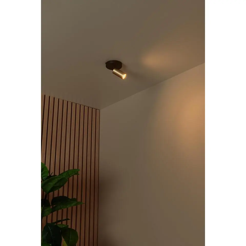 Lucide RITMO Plafondspot - Mat Goud / Messing
