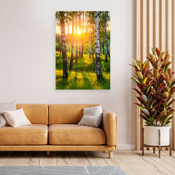 Obraz do salonu sypialni biura, Brzozy drzewa zachód słońca 20x30
