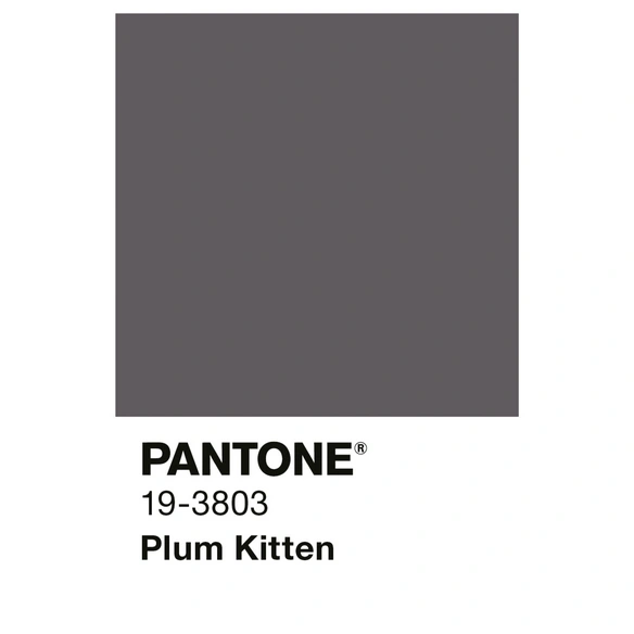 Wandfarbe »PANTONE«, Plum Kitten, matt, 2,5 l
