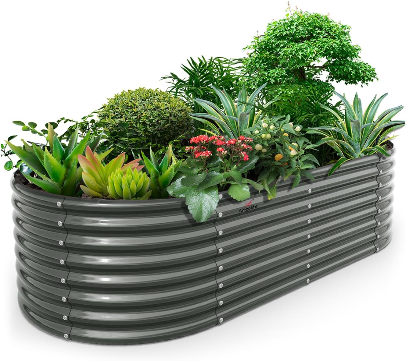 Raised Beds
