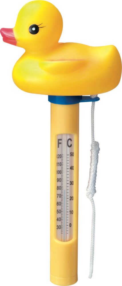 BASSENGTERMOMETER AND