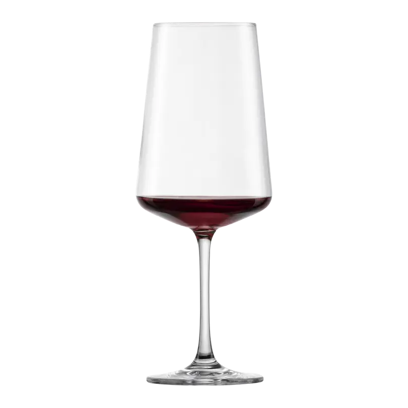 Rotweinglas-Set 4-teilig MioVino