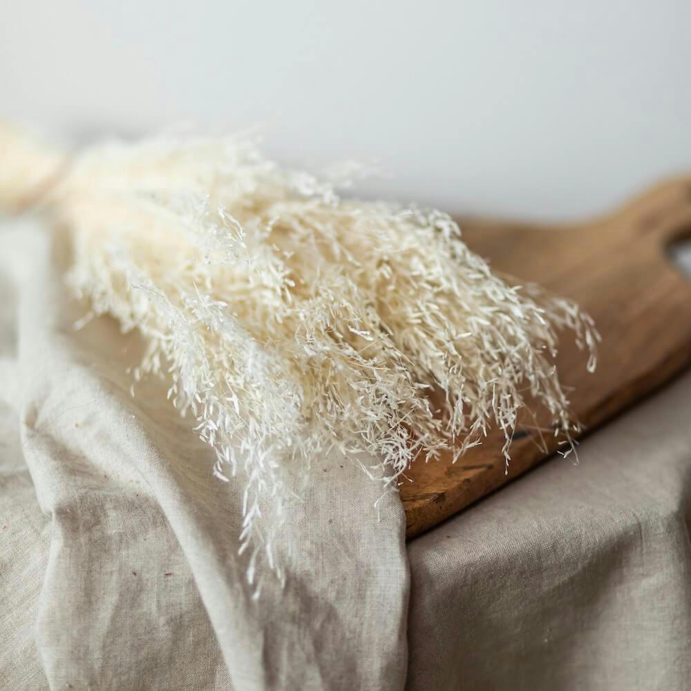 MINI GRASS - Fleurs séchées herbes beiges