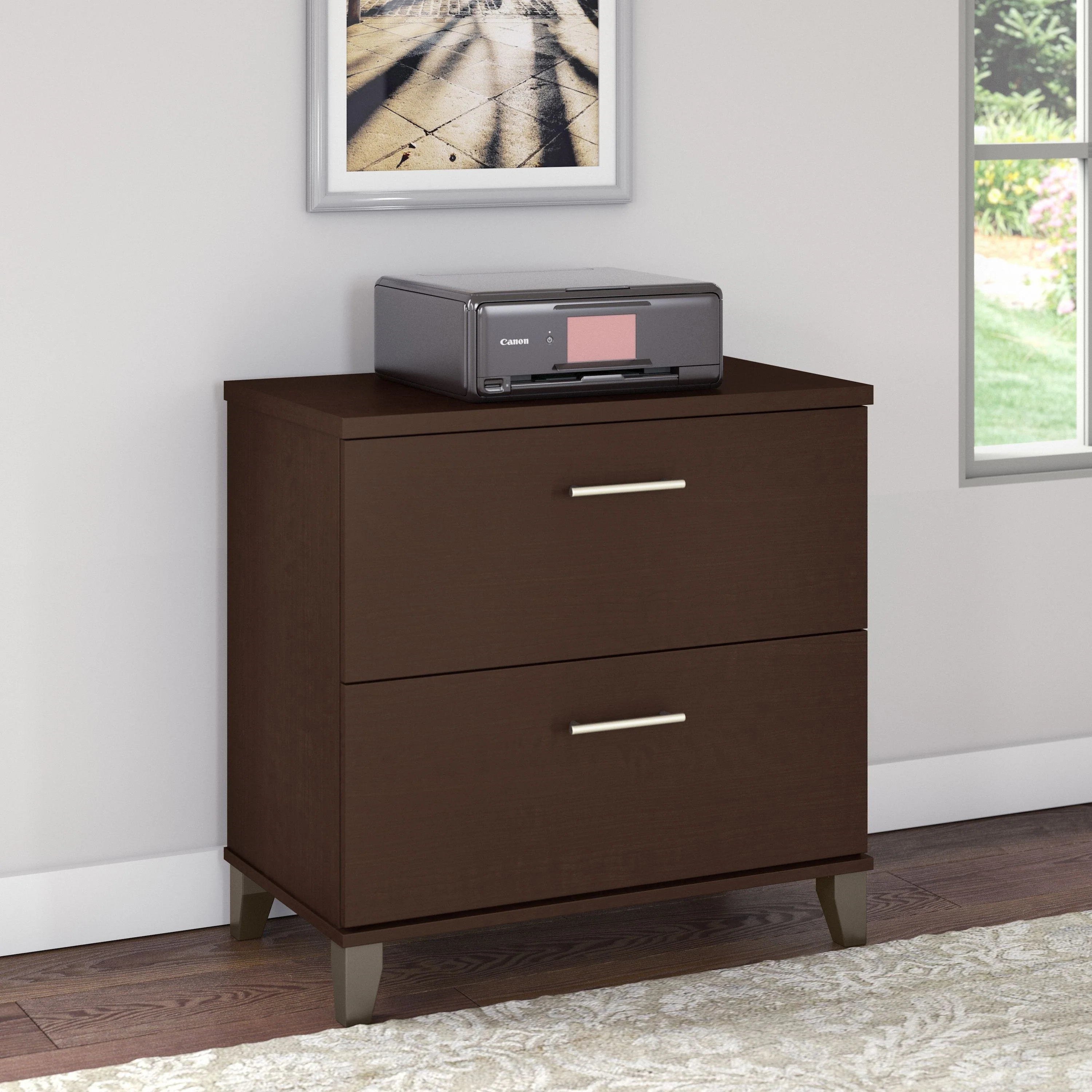 Bush Furniture Somerset 2 Drawer Lateral File Cabinet with Storage